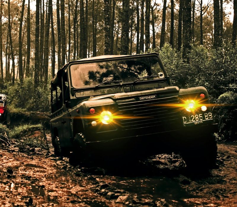 pexels-ahmad-syahrir-761815