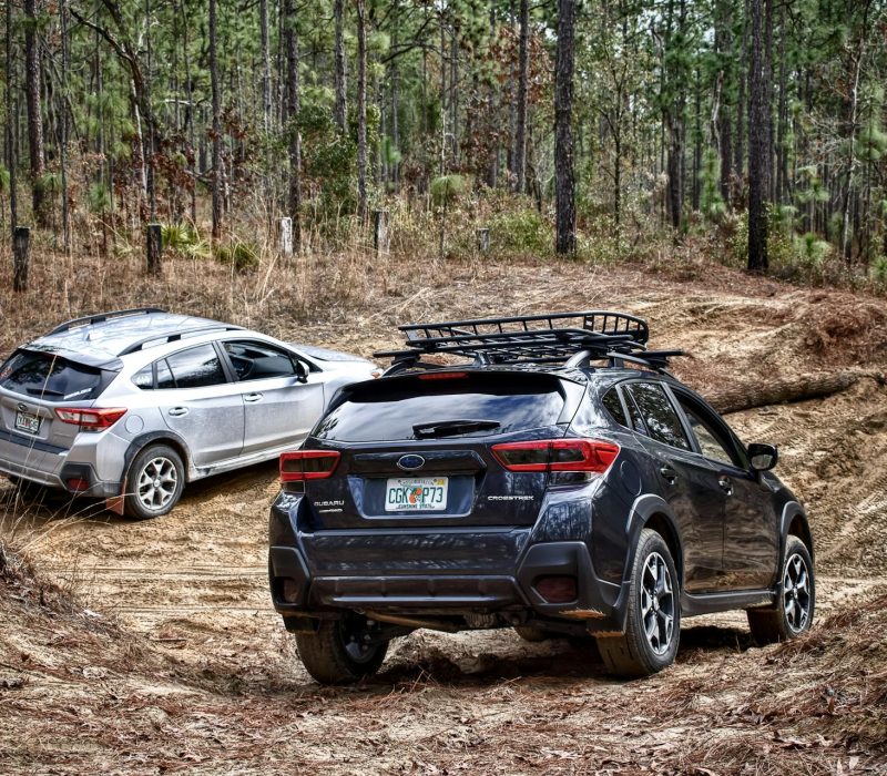 pexels-alteredsnaps-11794402