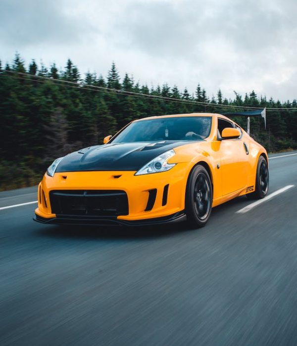 pexels-erik-mclean-12920632